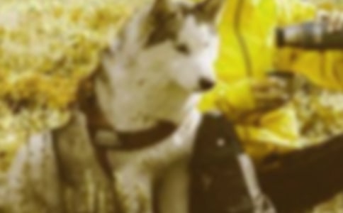 �йؿ��ݺ�г�ı���