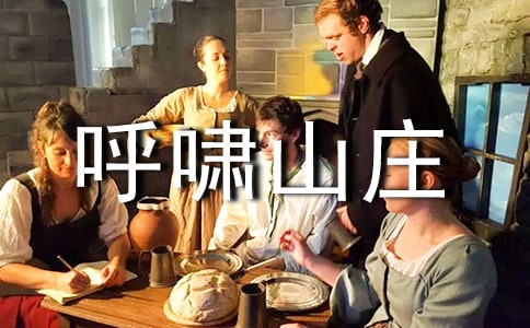 呼啸山庄读书笔记500字