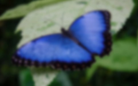 ��������Ȫ���δ�7ƪ