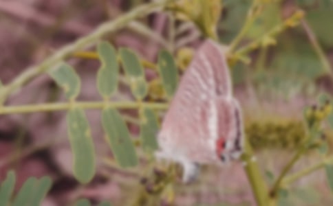 �ĺú�������Ӱ����