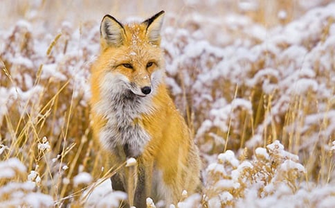 ���ر����й��Ǻͺ�������