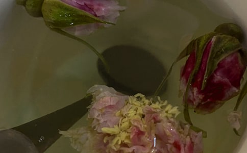 简单花茶的冲泡方法