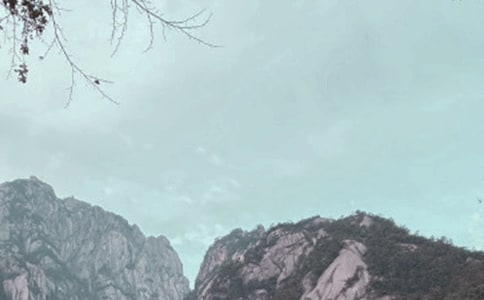 ���ܰ��ջ�ɽ���δʣ�ͨ��17ƪ��