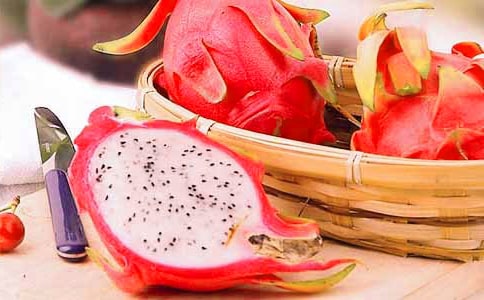 ������ѩ�������