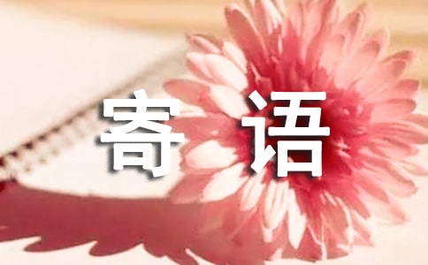 ������ʦ����