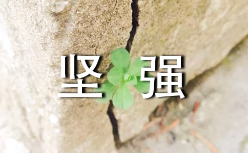���ڼ�ǿ����ǩ�����Ӵ�ȫ90�侫ѡ