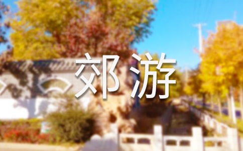 愉快的郊游作文(精)