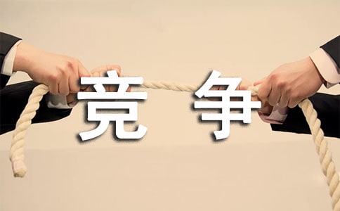 企业管理竞争力综合评价探讨