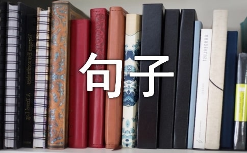 ��������ǩ������30�侫ѡ