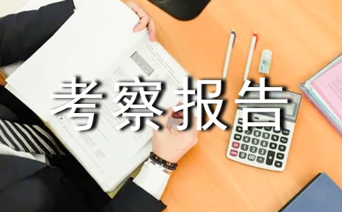 2015��ҵ��Ŀ���챨��