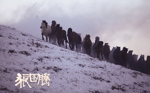 《狼图腾》中狼的50格言