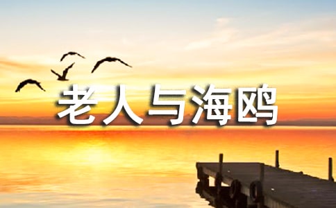 老人与海鸥读书笔记(通用4篇)