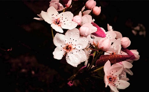 �滨�����Ψ�����ӣ���ѡ260�䣩