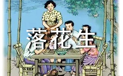 ���仨���������