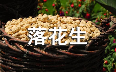 �仨���̰�����