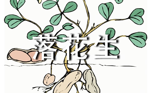 ���仨��������ʼ�13ƪ