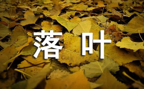 守望疲倦的落叶日志