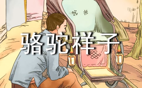 暑假读书笔记 《骆驼祥子》