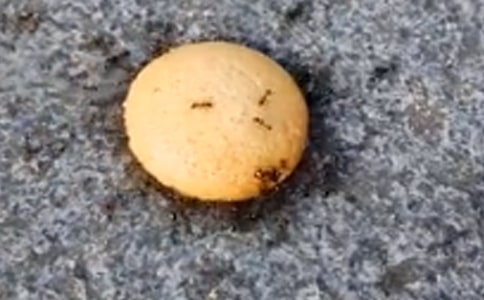 �����ϵ��ճ���������