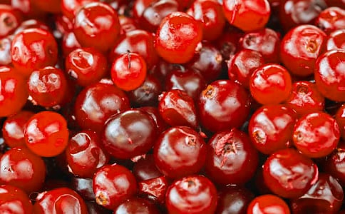 ��Խݮ���������