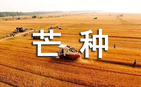 芒种的谚语(精选260句)
