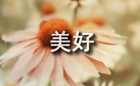 �������ø���ǩ������
