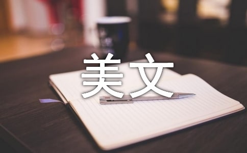 �����������ͣ������룩