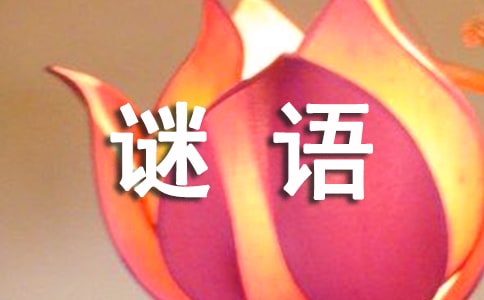 经典谜语联