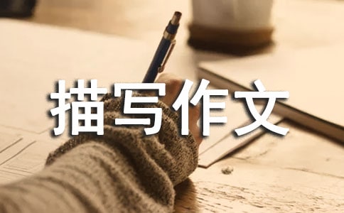������д���ģ���Ʒ7ƪ��