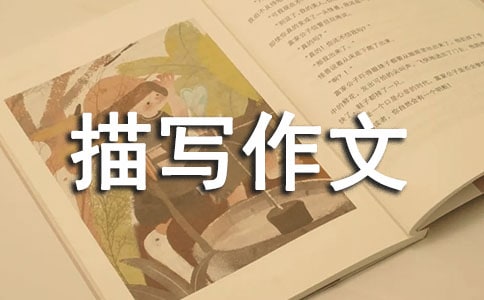 ������д�������ﷶ��
