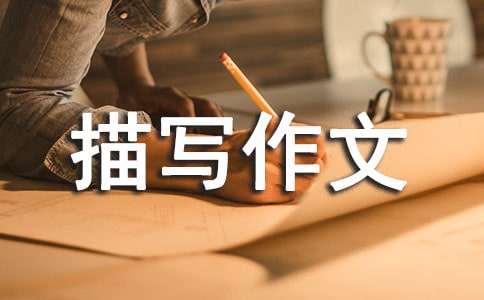 �ҵ�����400�������ص���д����