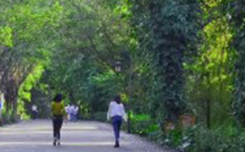 2014年爬山活动策划书