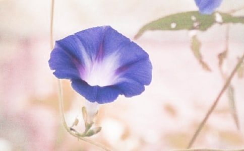 �۲��ռ�ֲ��ǣţ�����ģ���ѡ54ƪ��
