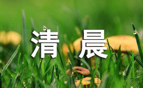 �����峿�ʺ���