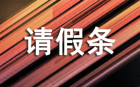�����㻤�����