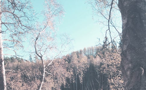 ���꼶�＾ѧ����ĩ����2015