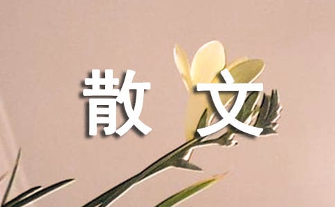 2018编导专业散文写作的要领