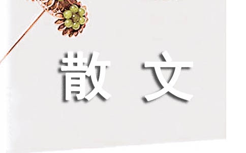 散文《窗》英译版本欣赏