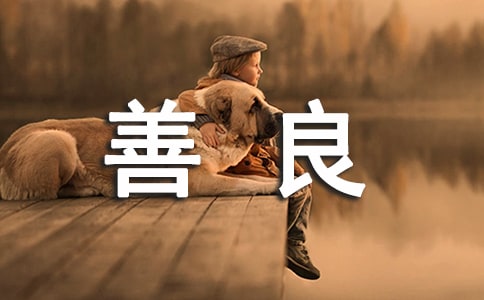 ��������˵˵ǩ��30��