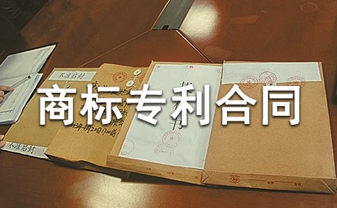 商标专利合同专利实施许可合同七