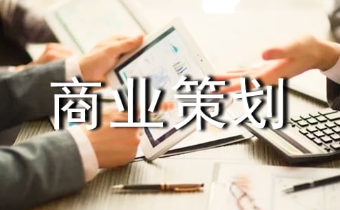 商业策划书格式