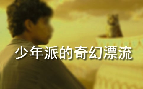 《少年派的奇幻漂流》观后感(精选34篇)
