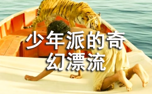 少年派的奇幻漂流观后感汇编15篇