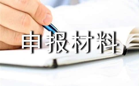 申报材料承诺书