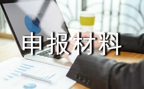 申报材料真实性承诺书
