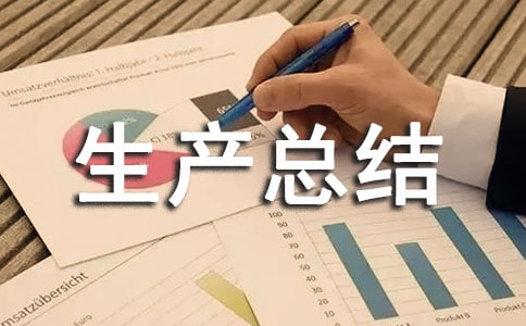 2017安全生产总结范文