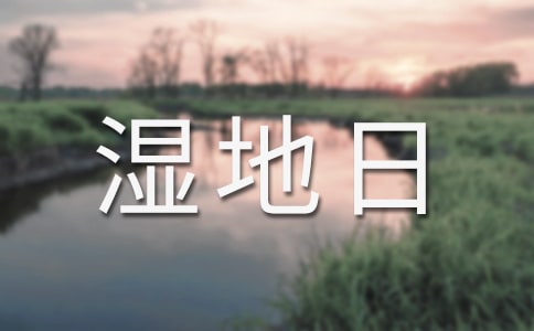 2017世界湿地日活动总结