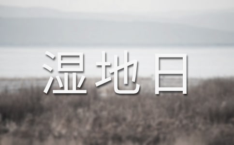 ����ʪ���յĻ����