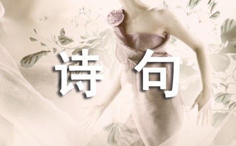 表达思念的诗句