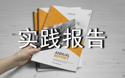 社会优秀实践报告范文(精选20篇)